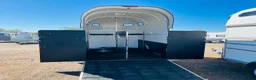 Hästtransporter  fordon & transport till salu: Forzab Cavallo/Futuro SEH20 - Annons 7