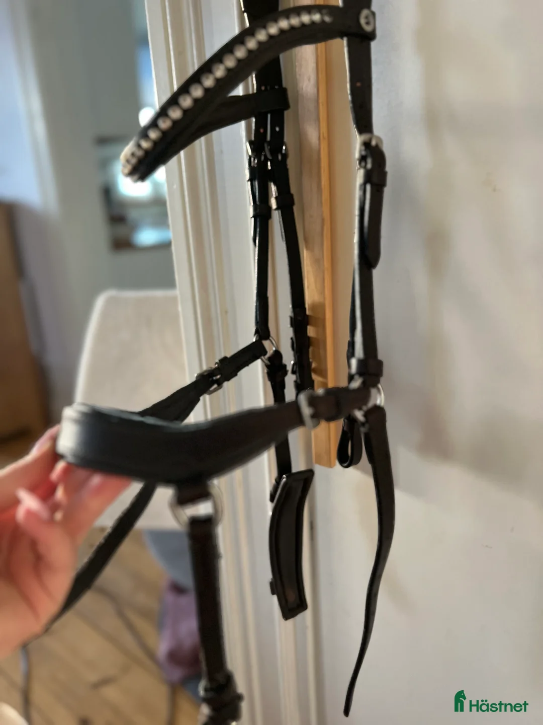 Träns hästutrustning till salu: Chester träns+tyglar i Bollnäs - Annons 3