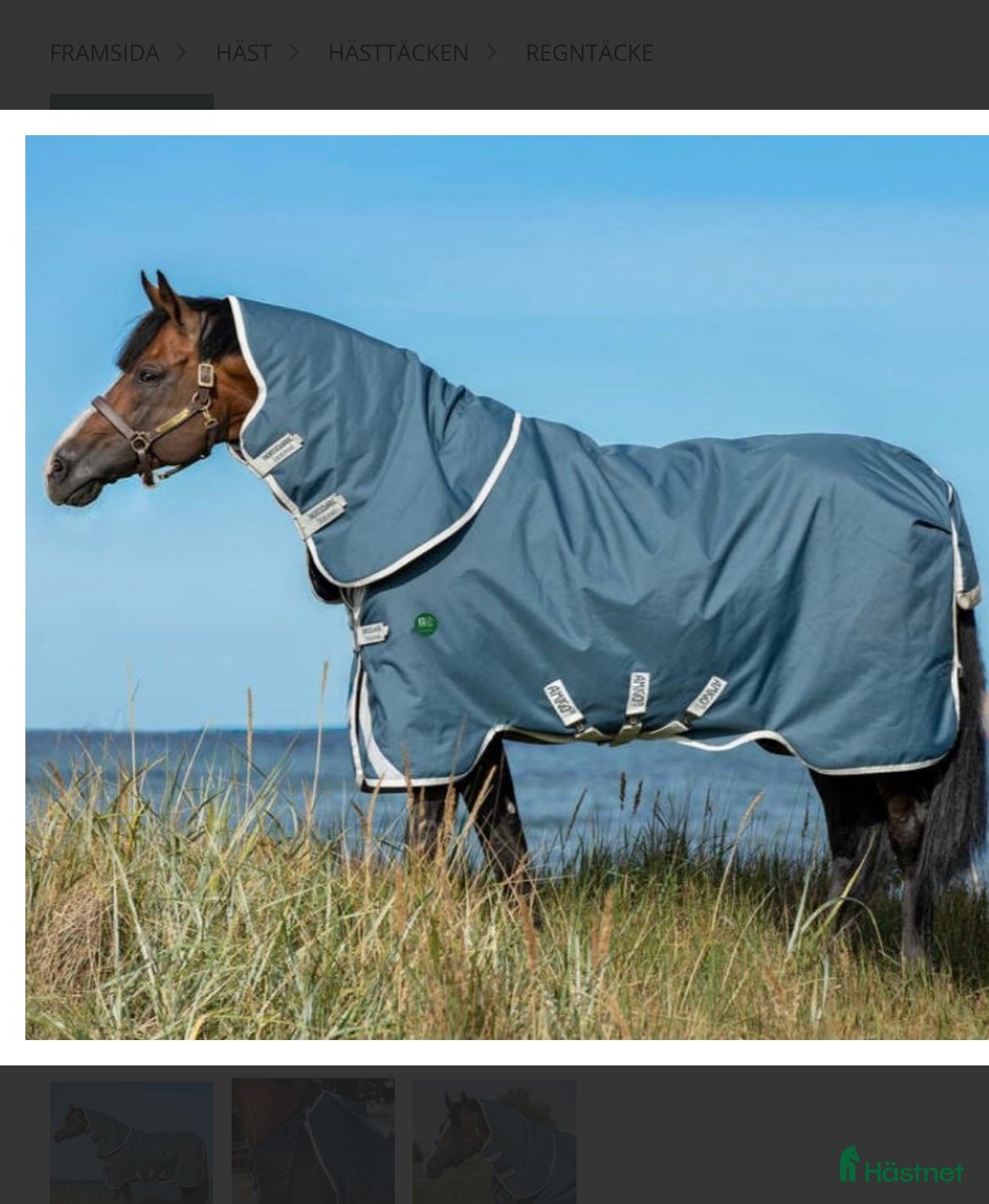 Täcken hästutrustning Amigo Am Eco Bravo 12 i Nyköping - Annons 10