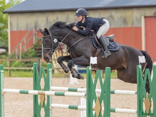 hästar i Billeberga - Annons 30