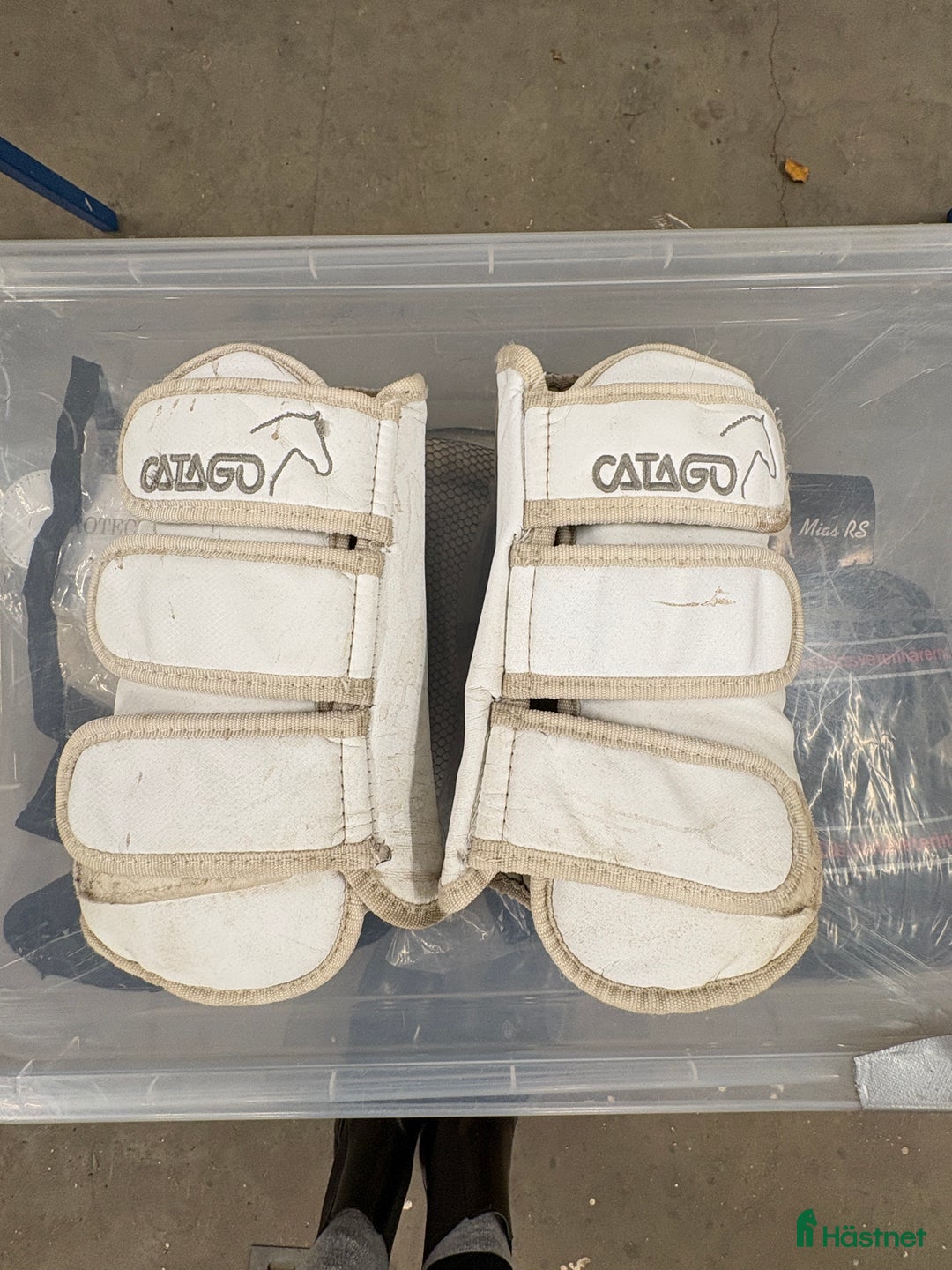 Benskydd hästutrustning till salu: Catago vita damasker i Täby - Annons 1
