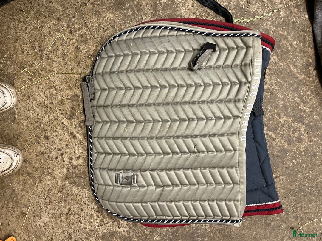 Schabrak & Vojlockar hästutrustning till salu: Schabrak  i Landsbro - Annons 2