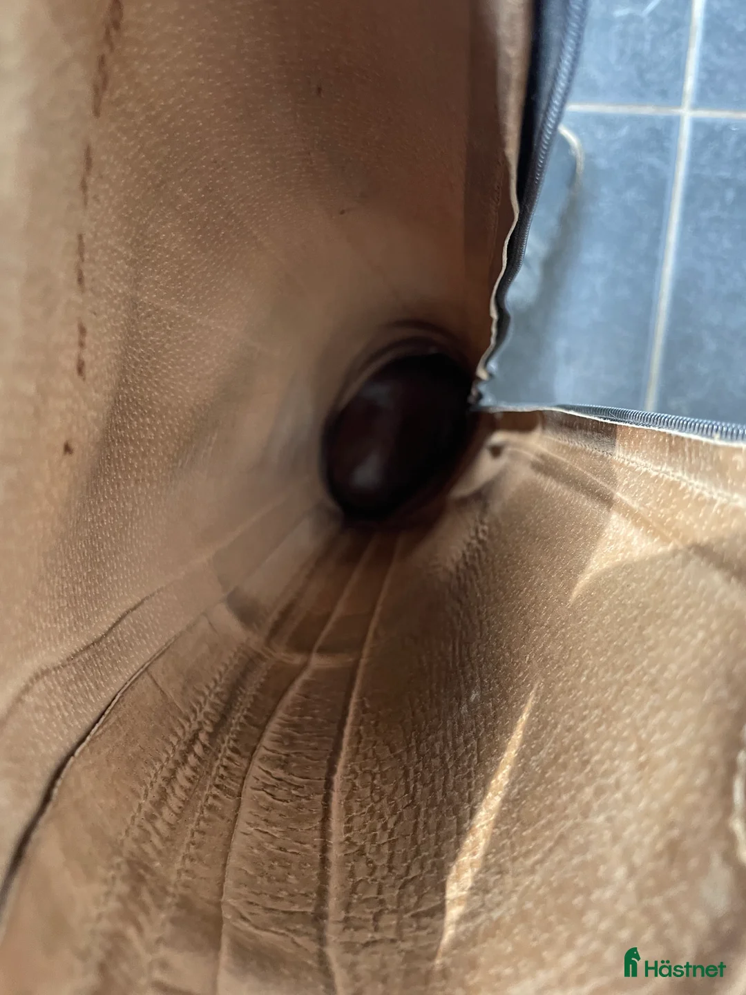 Ridstövlar ryttarutrustning till salu: Dressyrstövlar Cavallo i Stånga - Annons 7