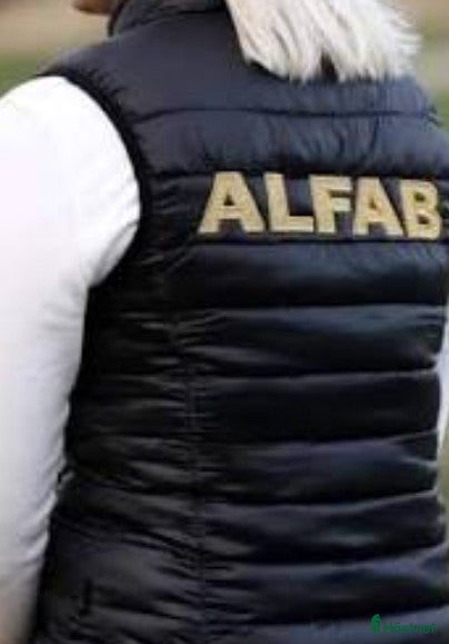 Jackor & Kavajer ryttarutrustning till salu: Söker alfab väst - Annons 1