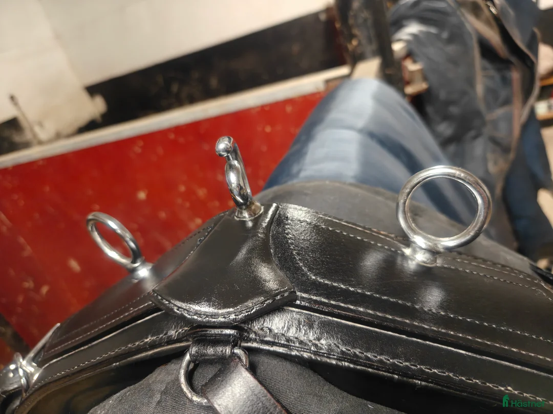 Körselar körning till salu: Däckel (sele) - Annons 5