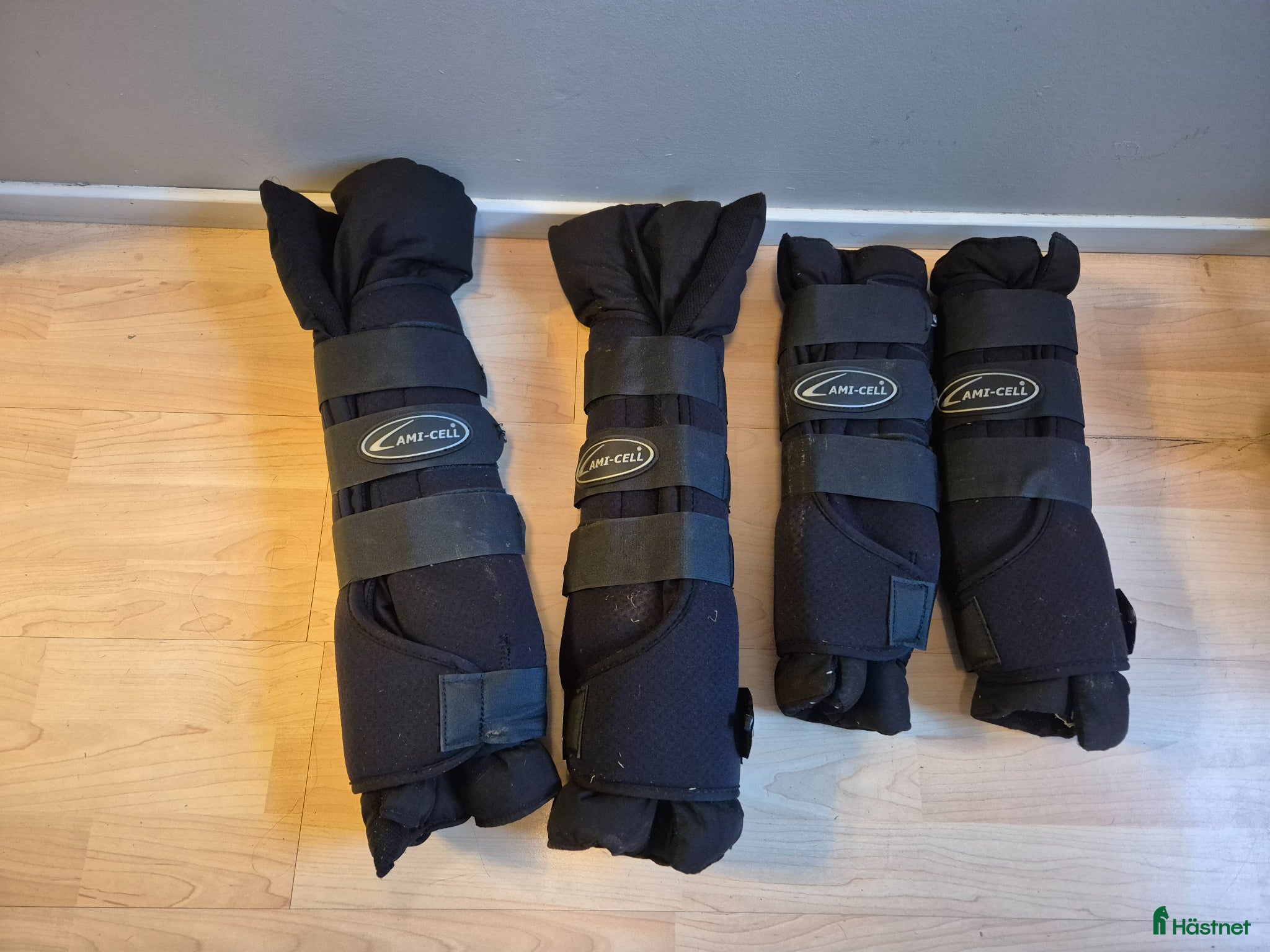 Benskydd hästutrustning Lamicell terapi - Annons 2