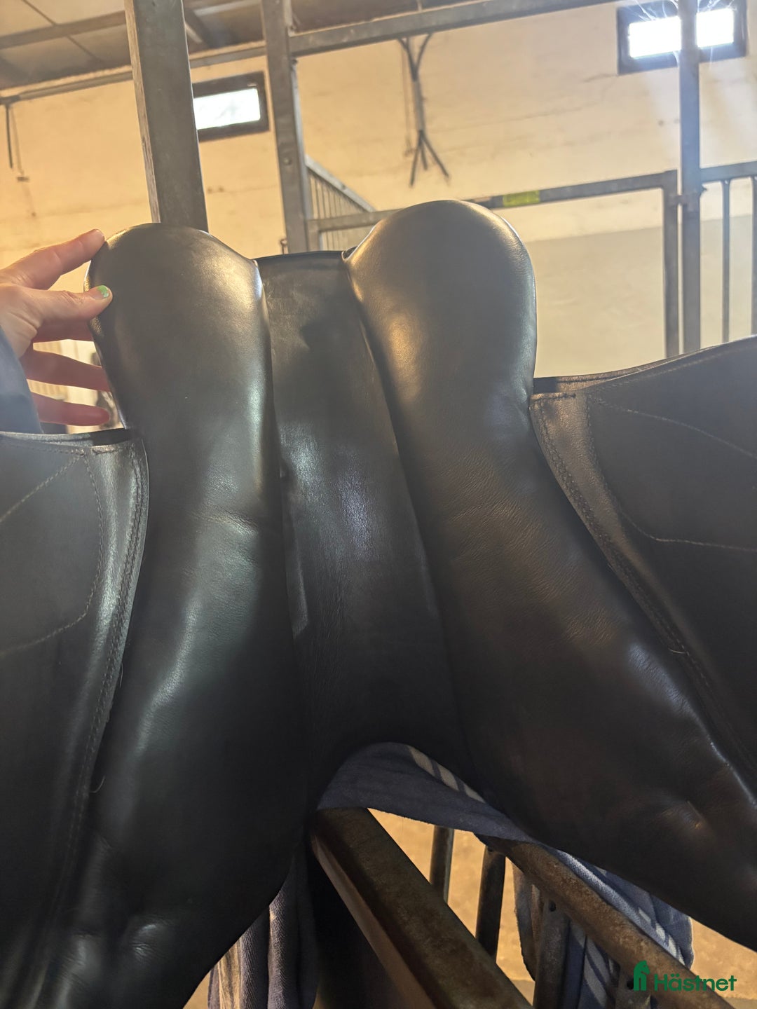 Sadlar hästutrustning till salu: Prestige Joy jumper 16” 37 i Löddeköpinge - Annons 3