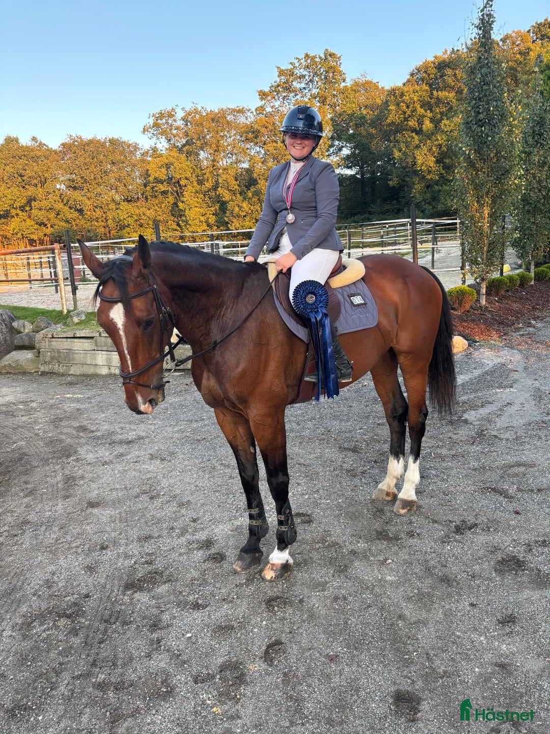 Hoppning hästar till salu: Magisk sprang hest, junior/youngrider i Aksdal - Annons 9