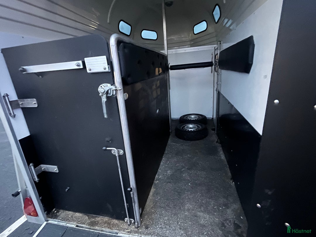 Hästtransporter  fordon & transport till salu: Forzab mycket bra skick  i Värnamo - Annons 3