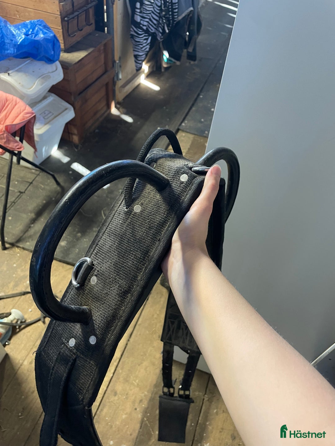 Övrig Hästutrustning hästutrustning till salu: Voltigegjord i Piteå - Annons 3