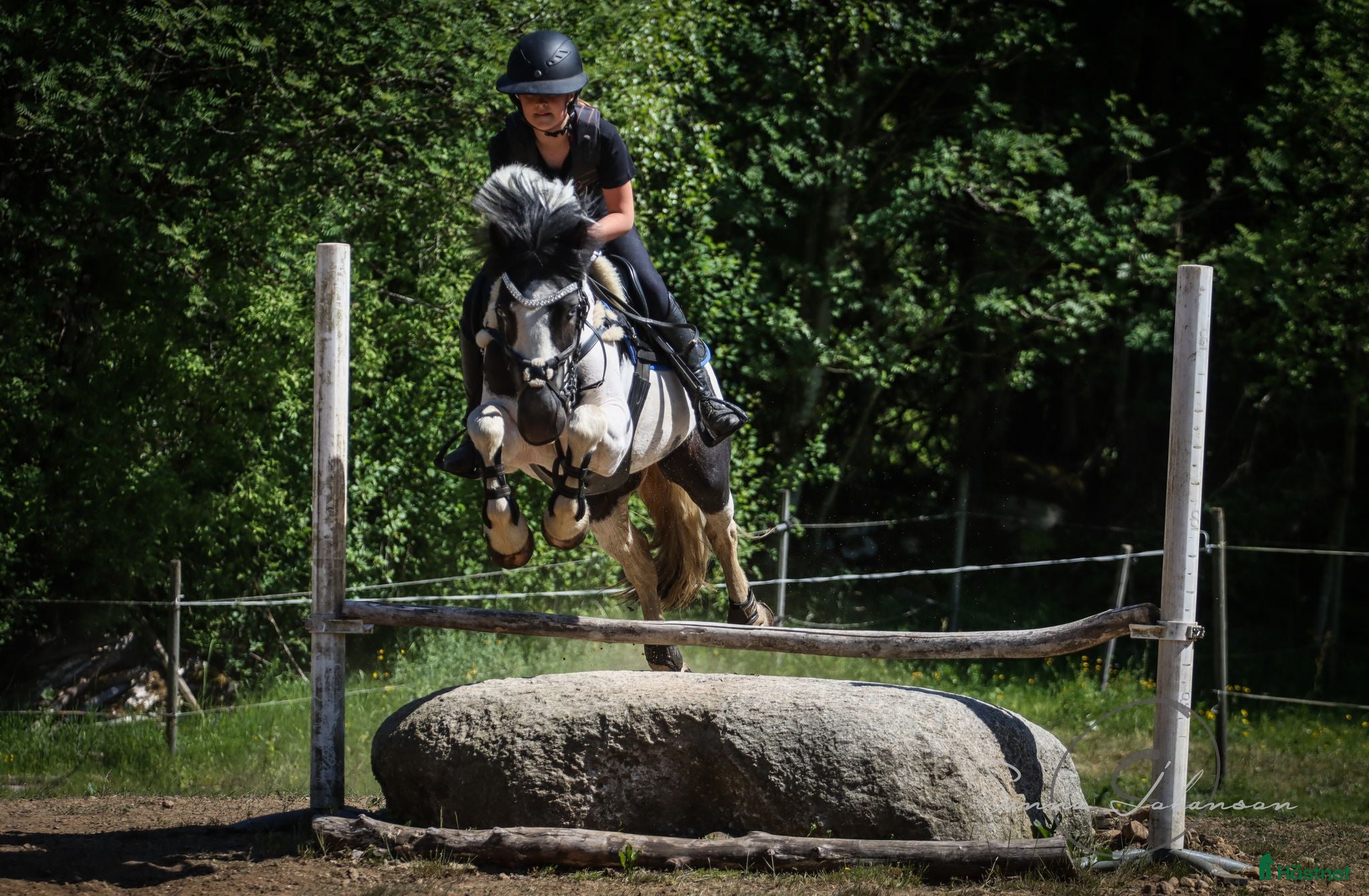  hästservice Ungdomsläger fälttävlan i Målsryd - Annons 14