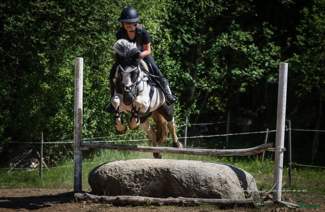  hästservice finnes: Ungdomsläger fälttävlan i Målsryd - Annons 1