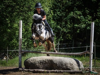 hästservice Ungdomsläger fälttävlan i Målsryd - Annons 20