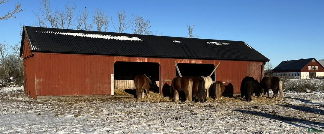 Galleribild {{count}}