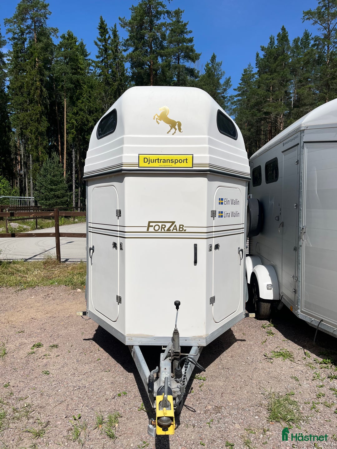 Hästtransporter  fordon & transport till salu: Forzab Cavallo SEH26 -16 i Valbo - Annons 2