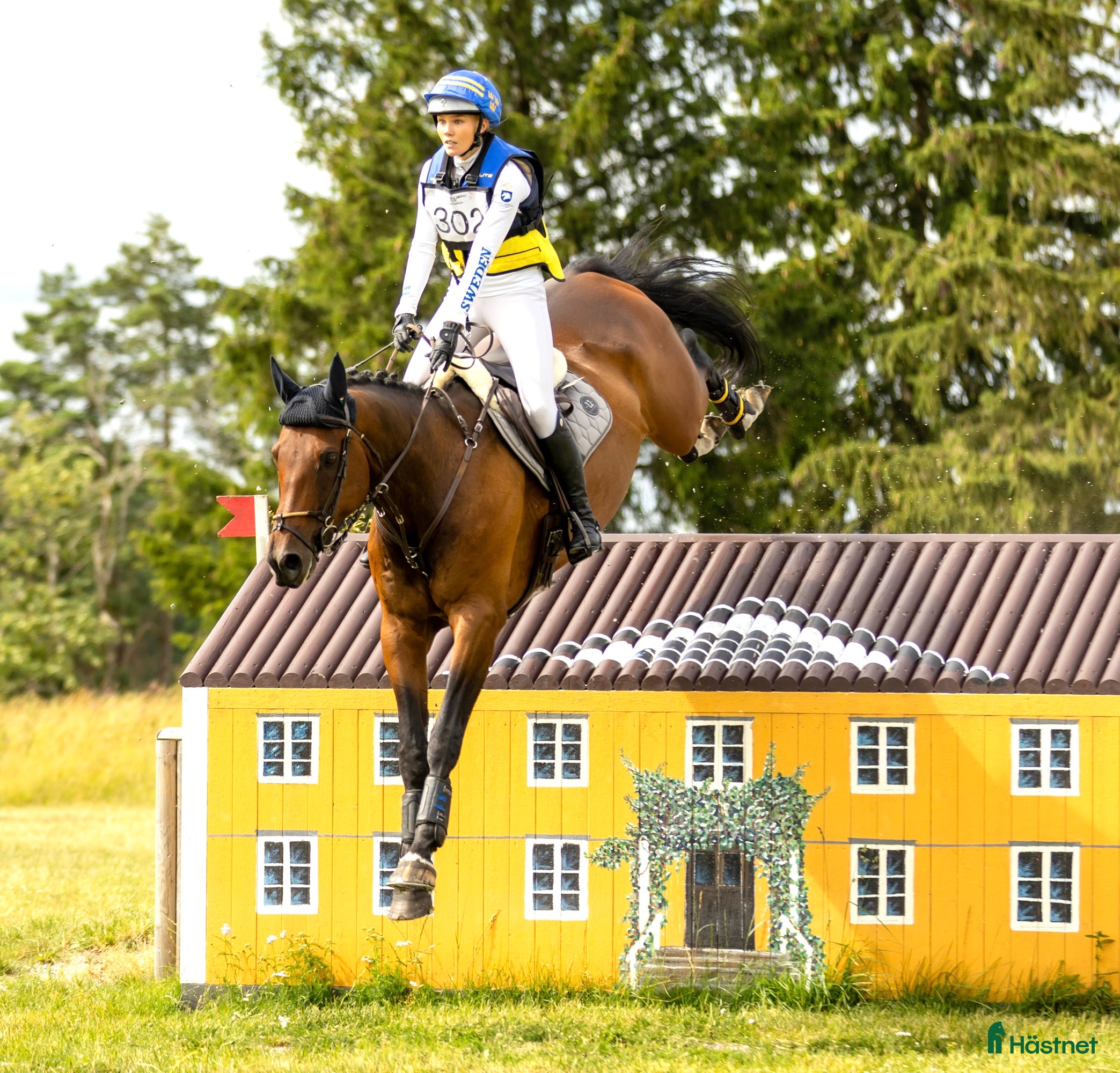  hästservice Förmedling, utbildning, träning, tävling i Skultuna - Annons 20