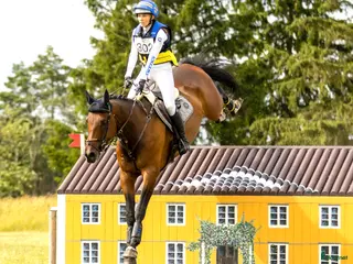 hästservice Förmedling, utbildning, träning, tävling i Skultuna - Annons 20