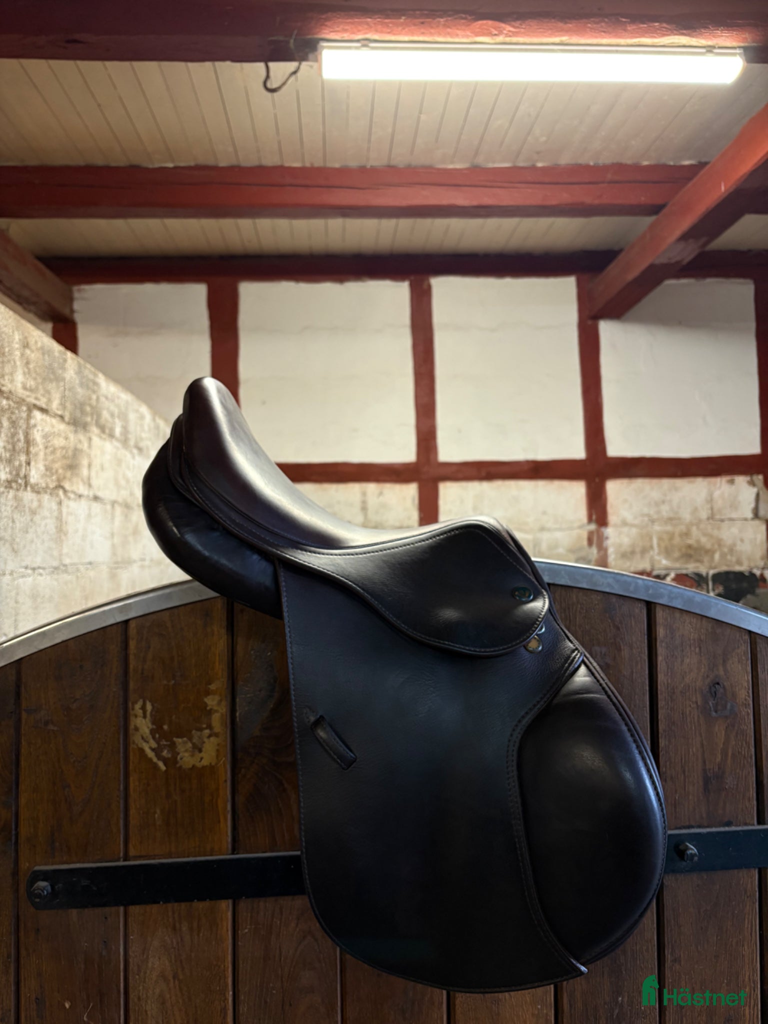 Sadlar hästutrustning Prestige hoppsadel ponny - Annons 14
