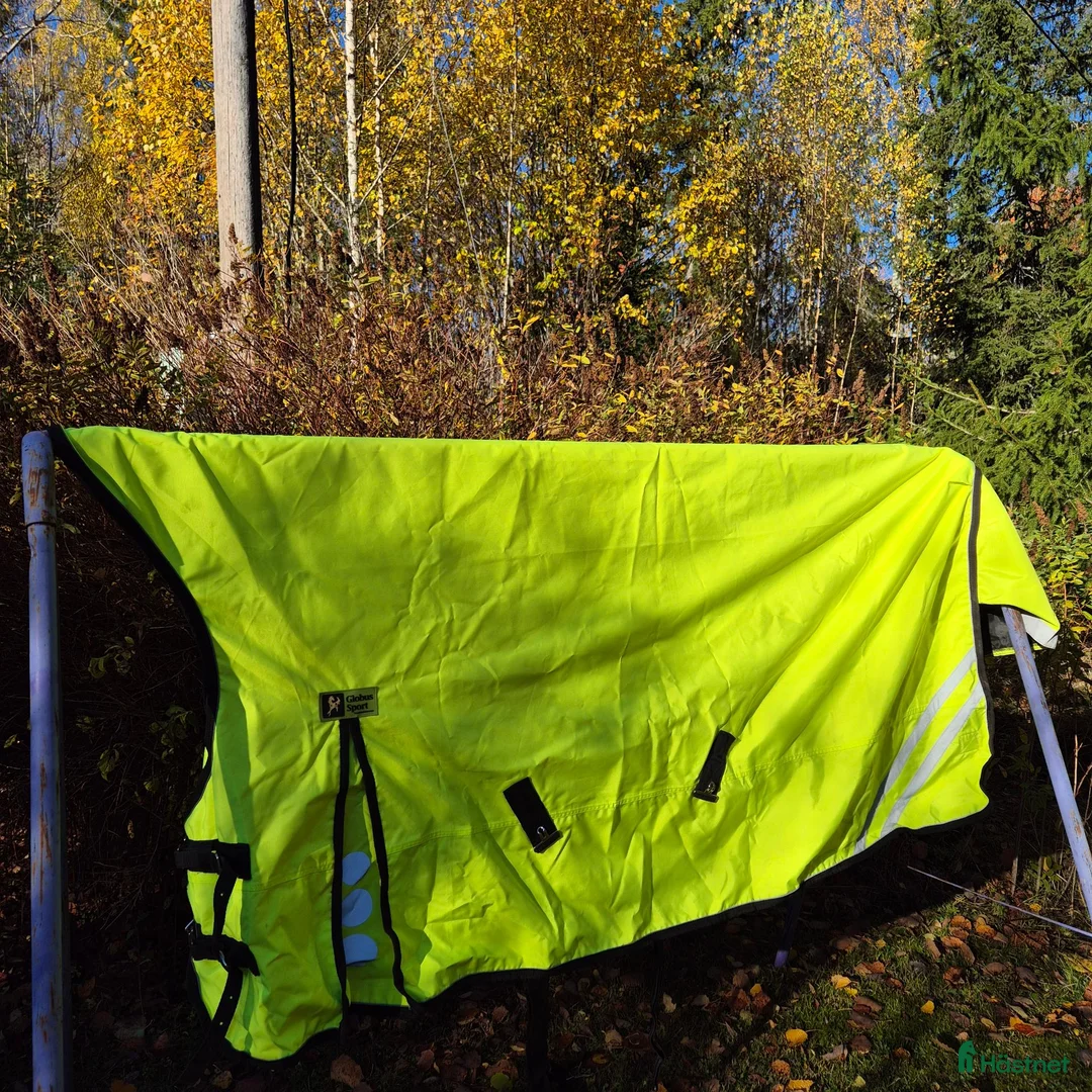 Täcken hästutrustning till salu: Globus sport reflextäcke - Annons 1