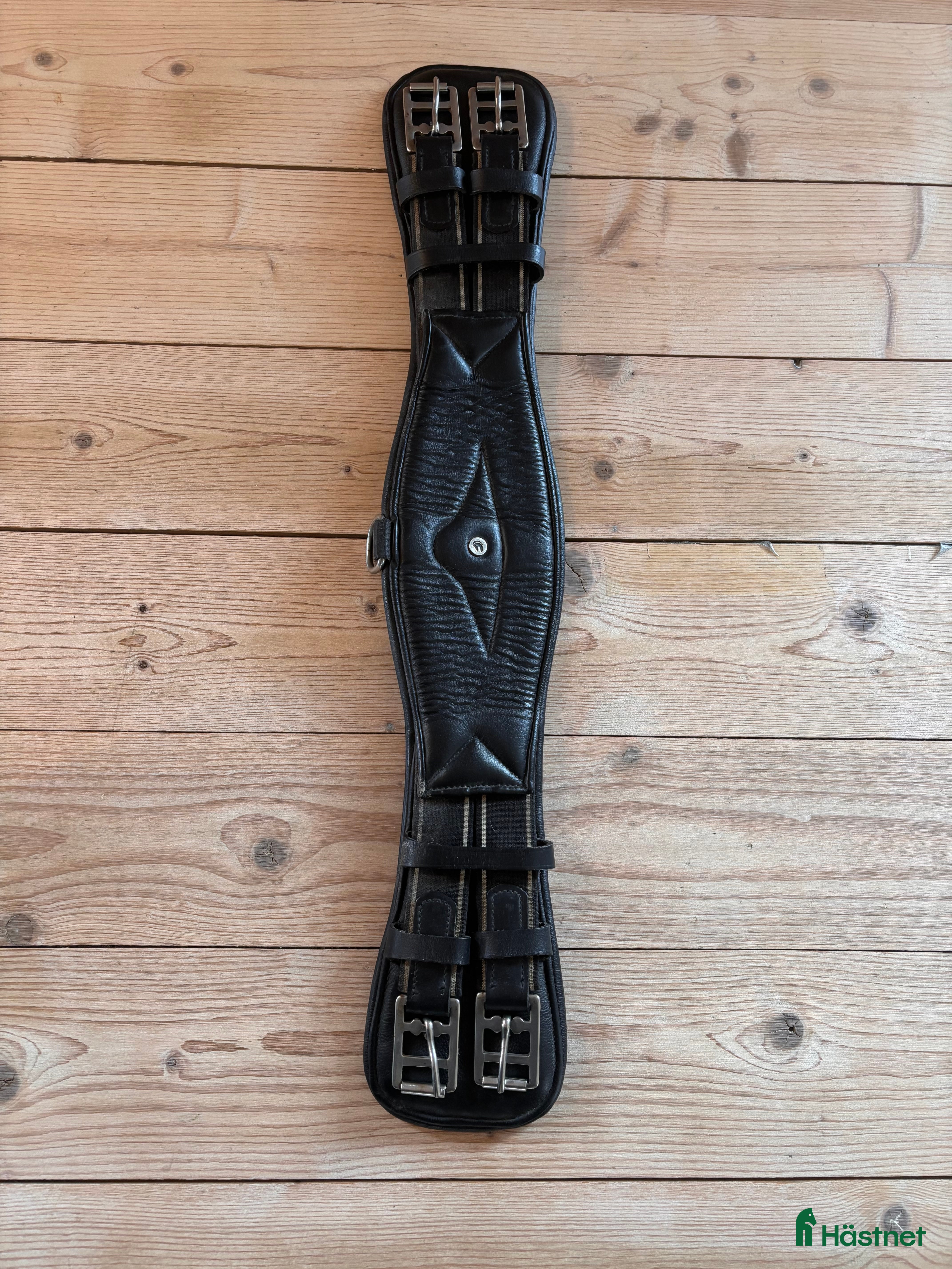 Sadeltillbehör hästutrustning till salu: Dressyrgjord i Ronneby - Annons 2