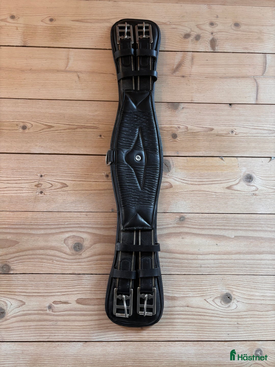 Sadeltillbehör hästutrustning till salu: Dressyrgjord i Ronneby - Annons 1