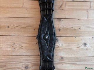 Sadeltillbehör hästutrustning till salu: Dressyrgjord i Ronneby - Annons 2