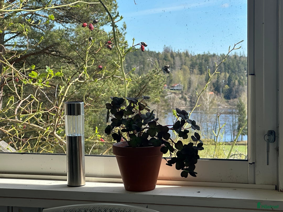  stallplats finnes: Möblerat hus och stall med två hästboxar uthyres i Mölnbo - Annons 7