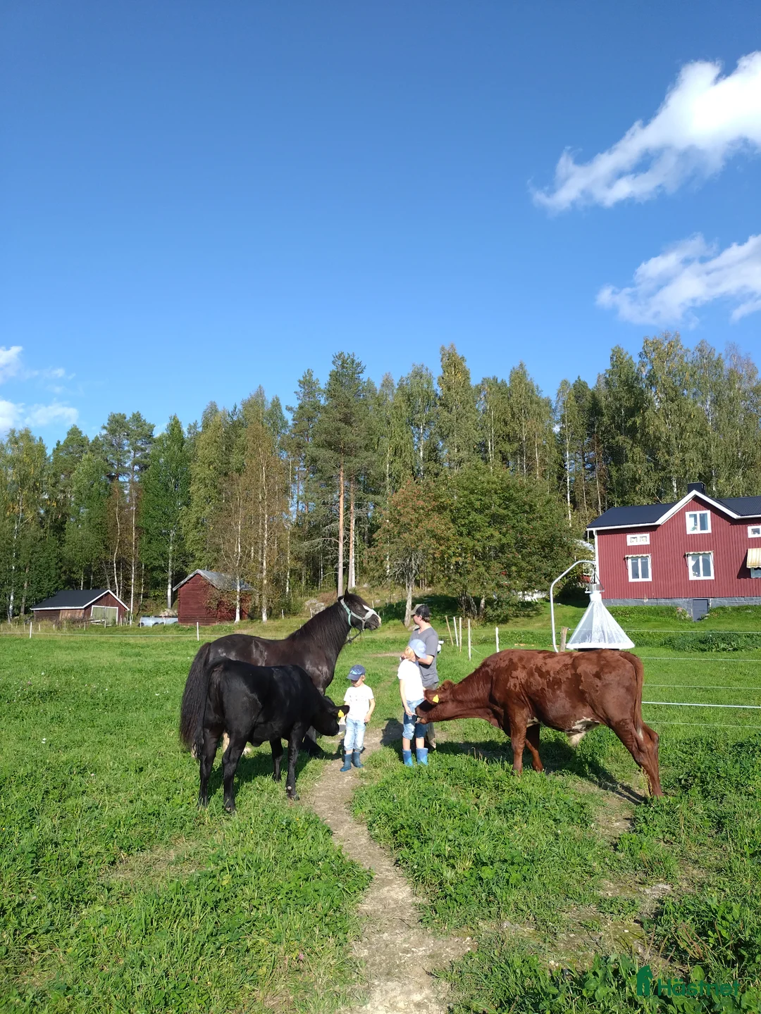 Galleribild {{count}}