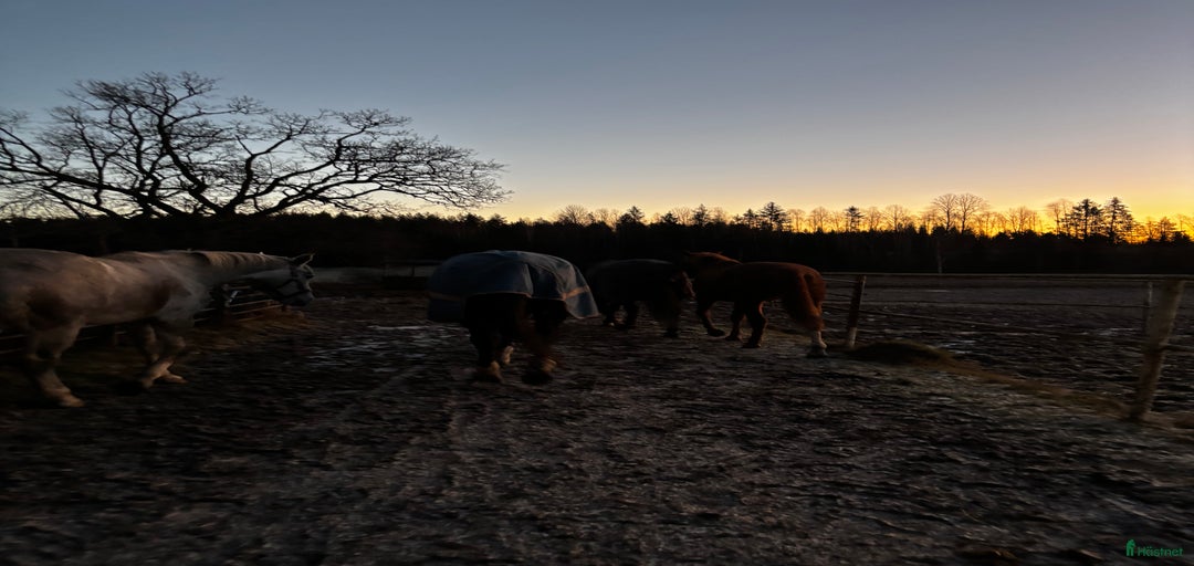 Galleribild {{count}}