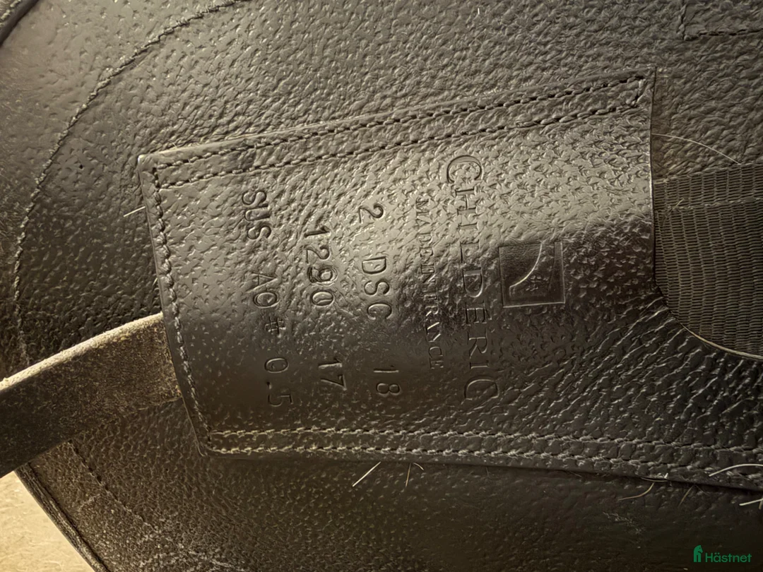 Sadlar hästutrustning till salu: Childeric DSC - Annons 5