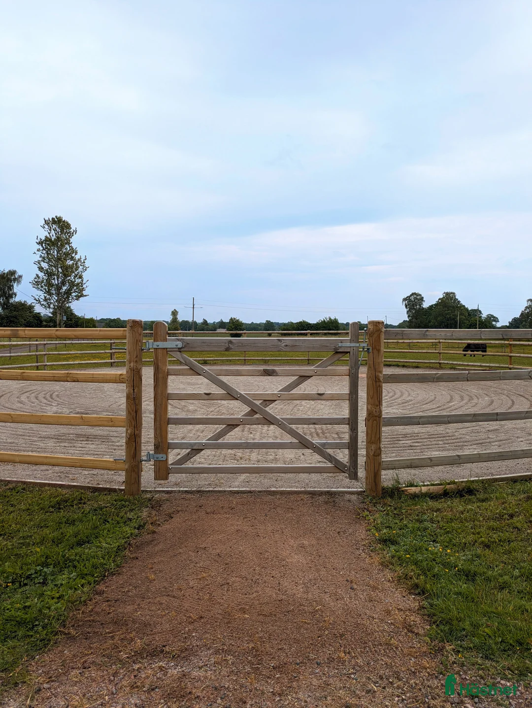  stallplats finnes: 1 ledig plats på underbar lösdrift  i Hörby - Annons 27
