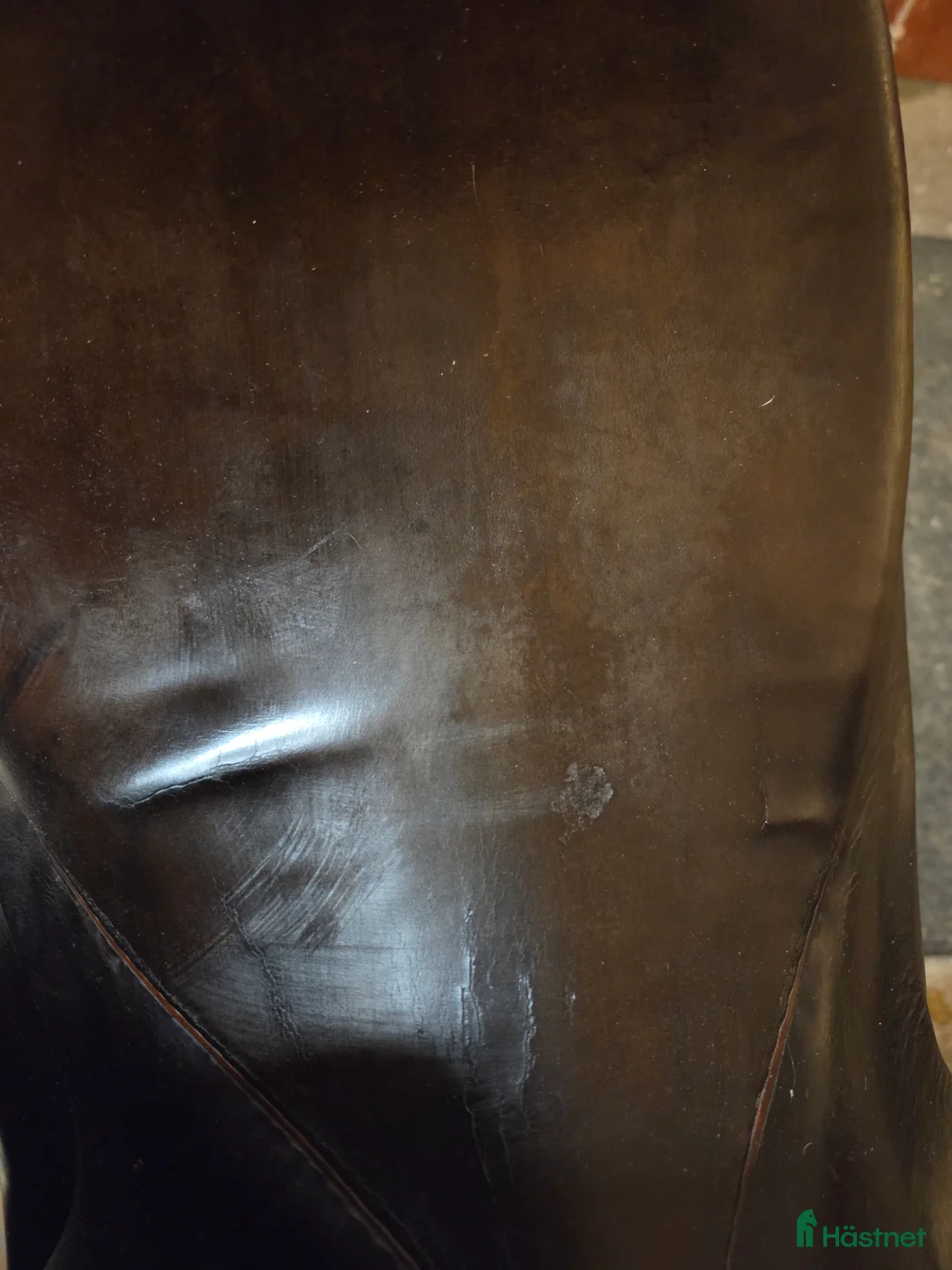 Sadlar hästutrustning till salu: Dressyr sadel i Nordmaling - Annons 7