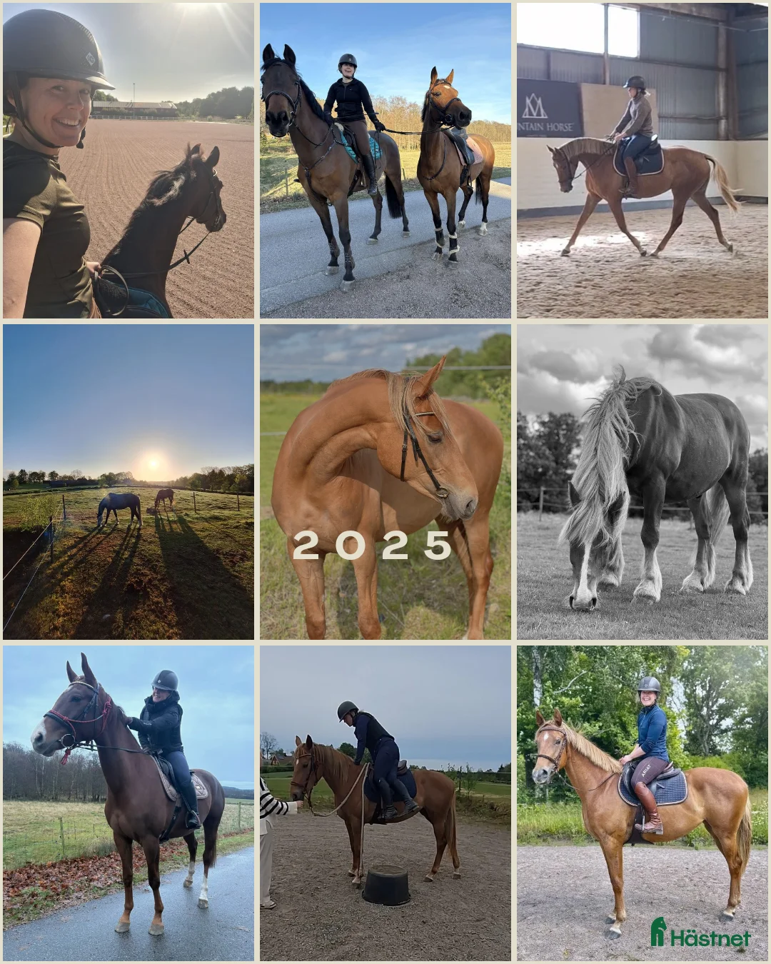  hästservice finnes: Inridning och utbildning i Simlångsdalen - Annons 1