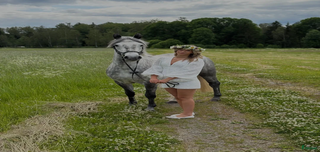 Galleribild {{count}}