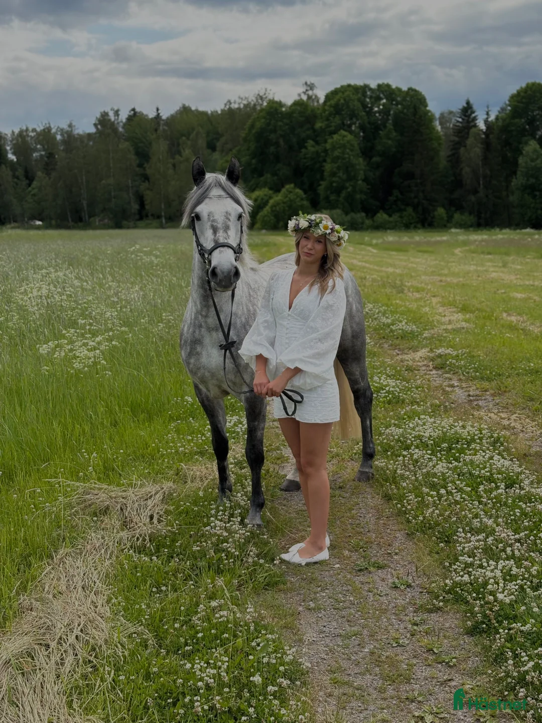 Galleribild {{count}}