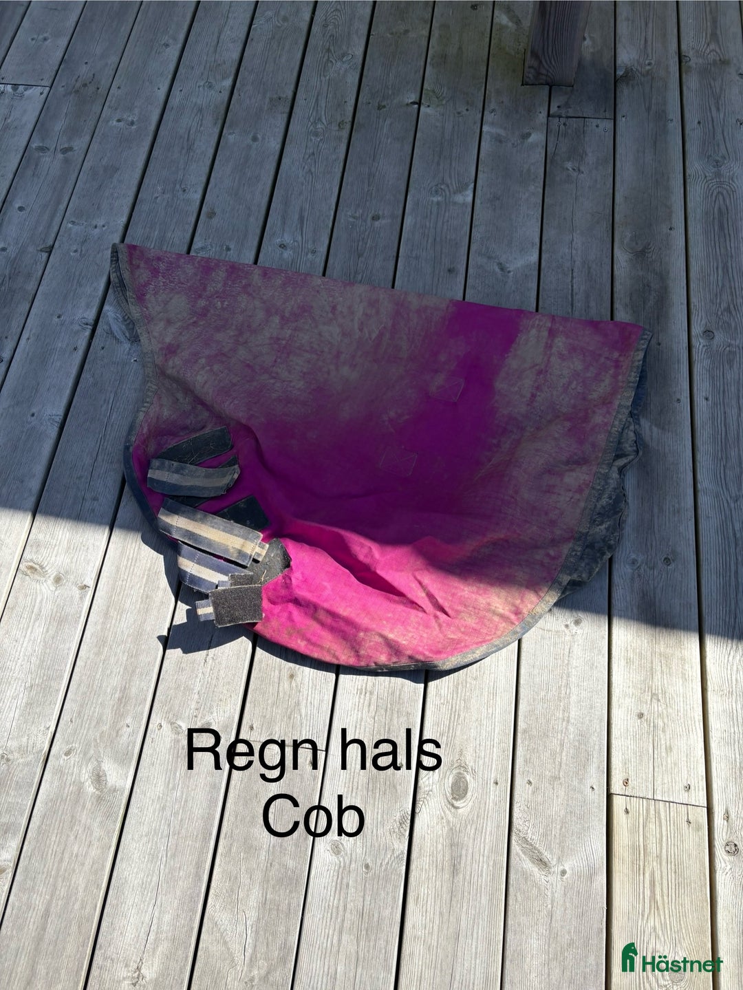 Övrig Hästutrustning hästutrustning till salu: Häst och ponny saker - Annons 17