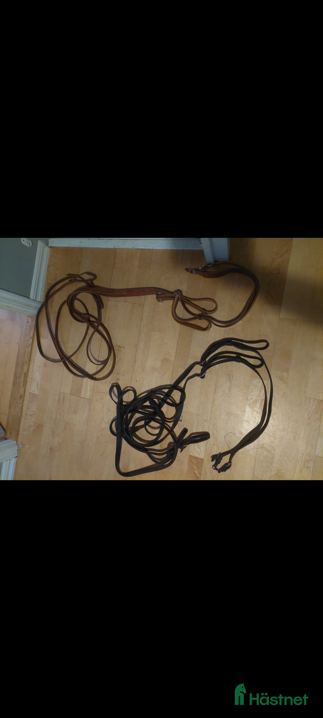 Travselar trav till salu: Travsele Finn Tack med QH fästen storlek full i Gnesta - Annons 2