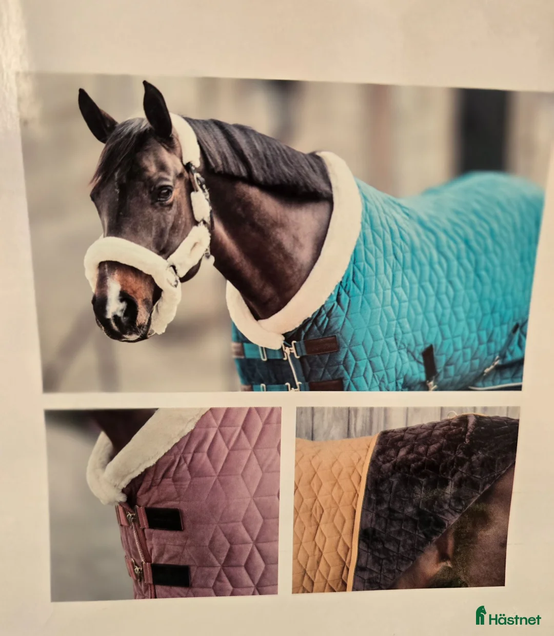 Täcken hästutrustning till salu: Kentucky Show rug velvet 145cm - Annons 4