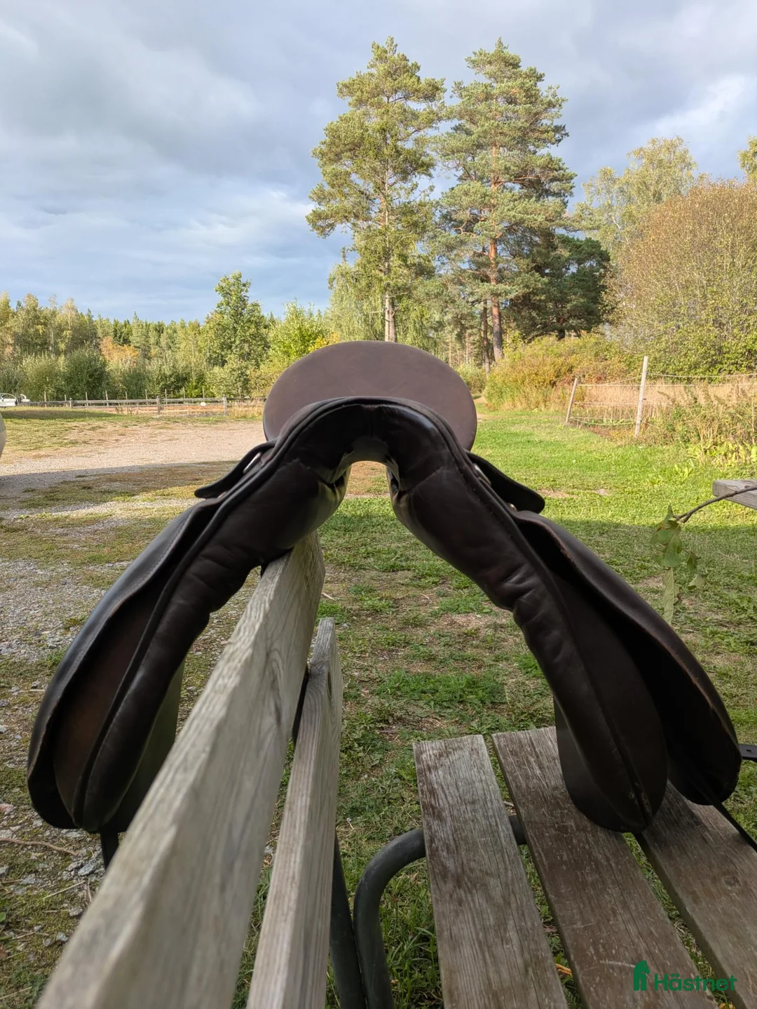 Sadlar hästutrustning till salu: Kieffer Champion – klassisk dressyrsadel - Annons 2