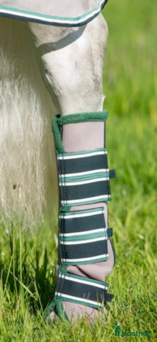 Övrig Hästutrustning hästutrustning Rambo flyboots - Annons 7