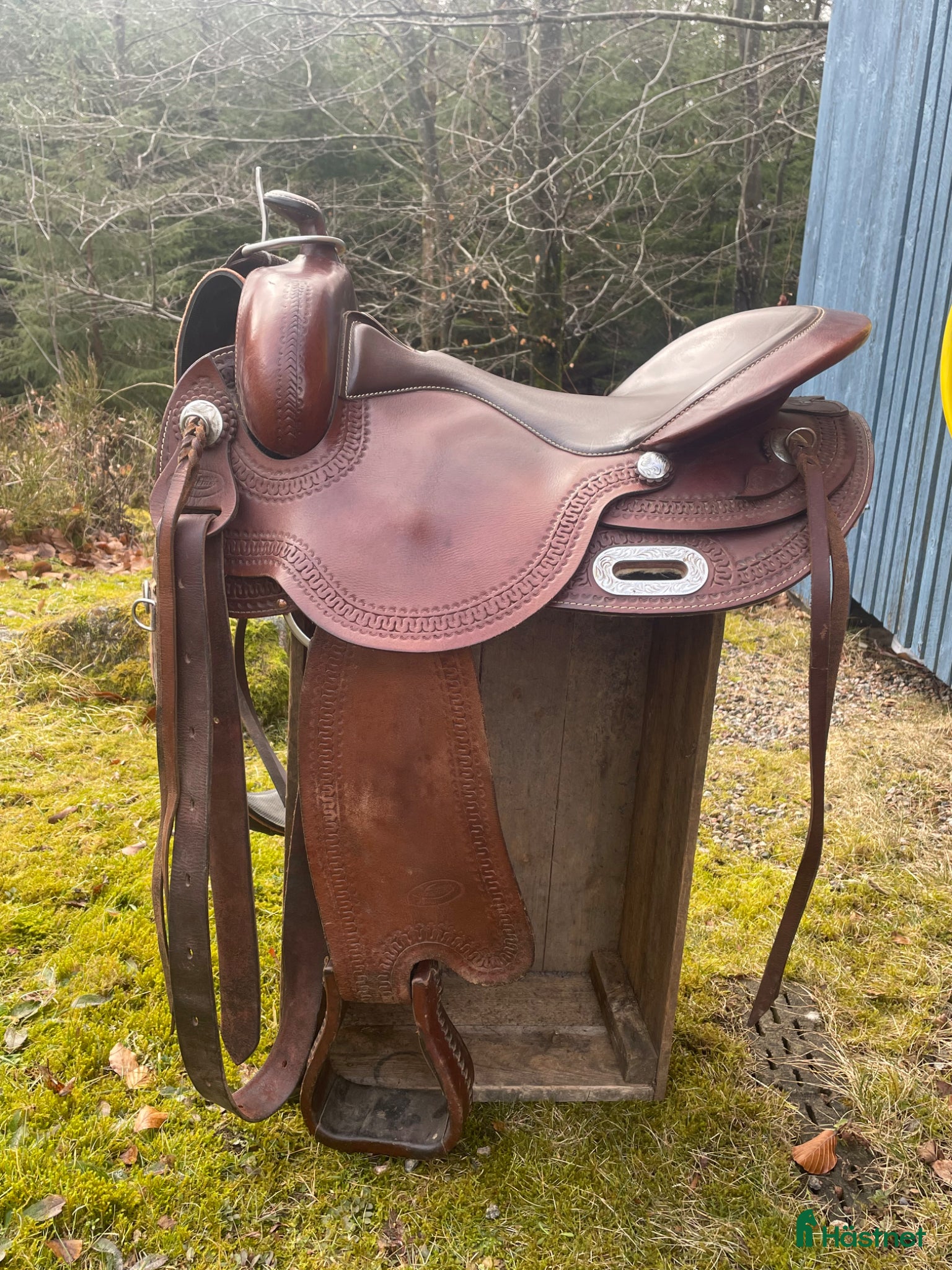 Sadlar hästutrustning Freemax short westernsadel  - Annons 9