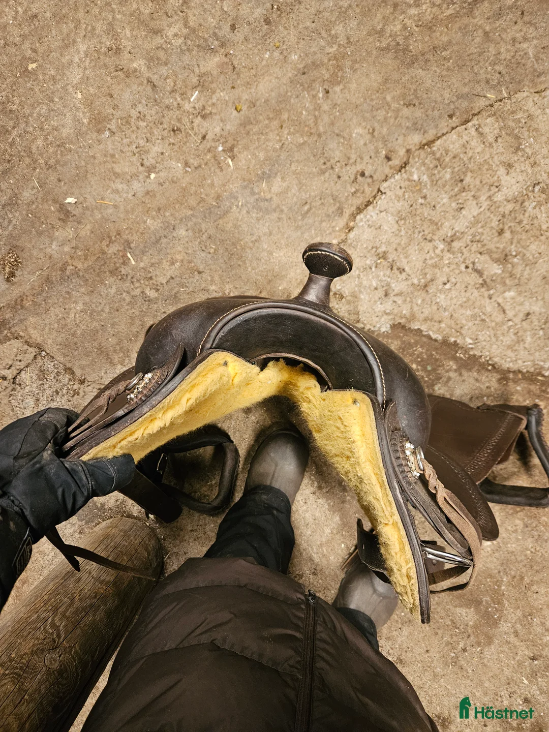 Sadlar hästutrustning till salu: Freemax shortback 16"6 - Annons 4