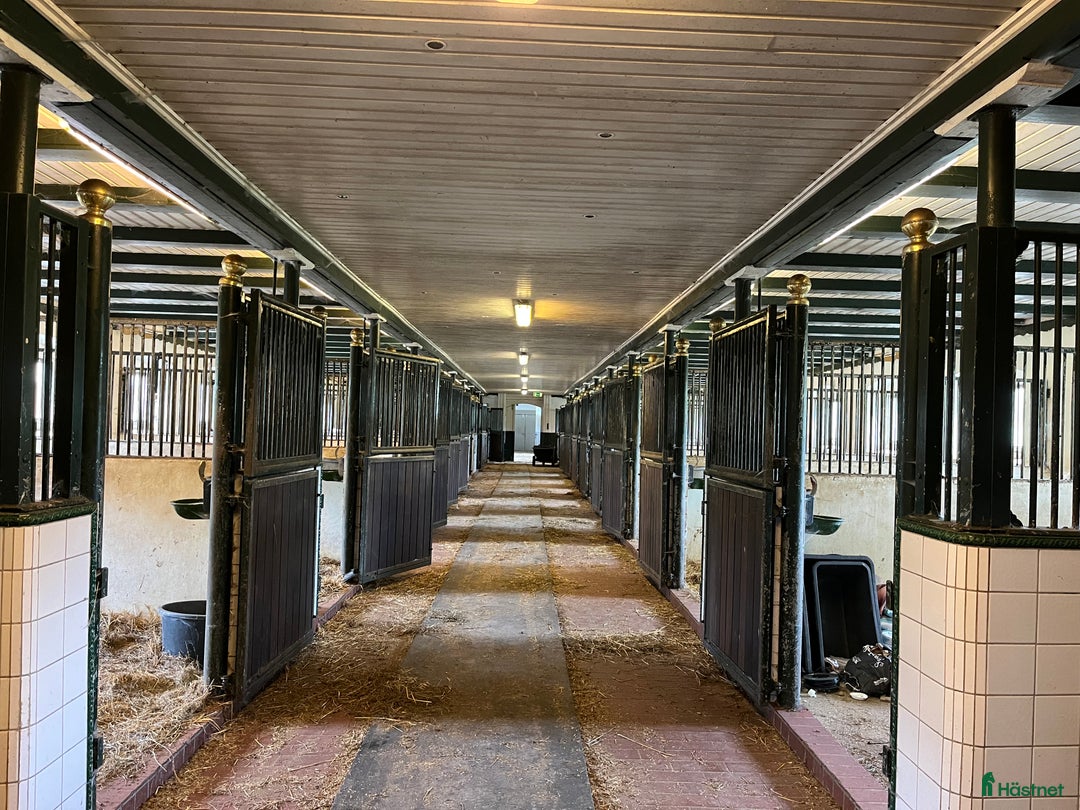  hästgårdar till salu: Uthyres ridanläggning i Floby - Annons 4