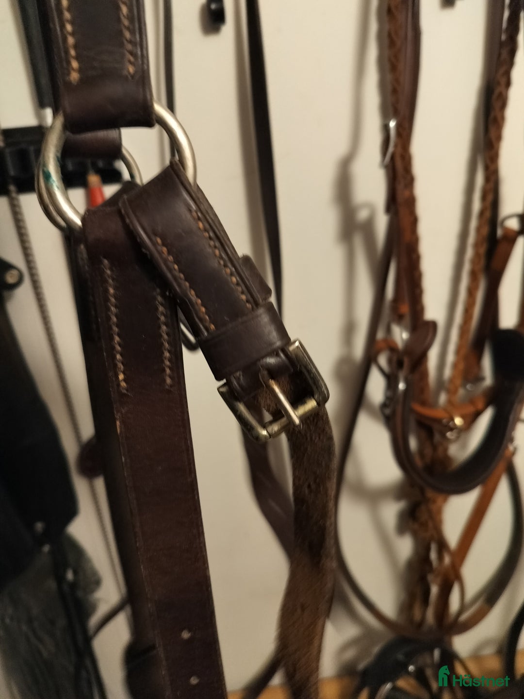 Övrig Hästutrustning hästutrustning till salu: "Militärbrösta" strl liten full i Luleå - Annons 3