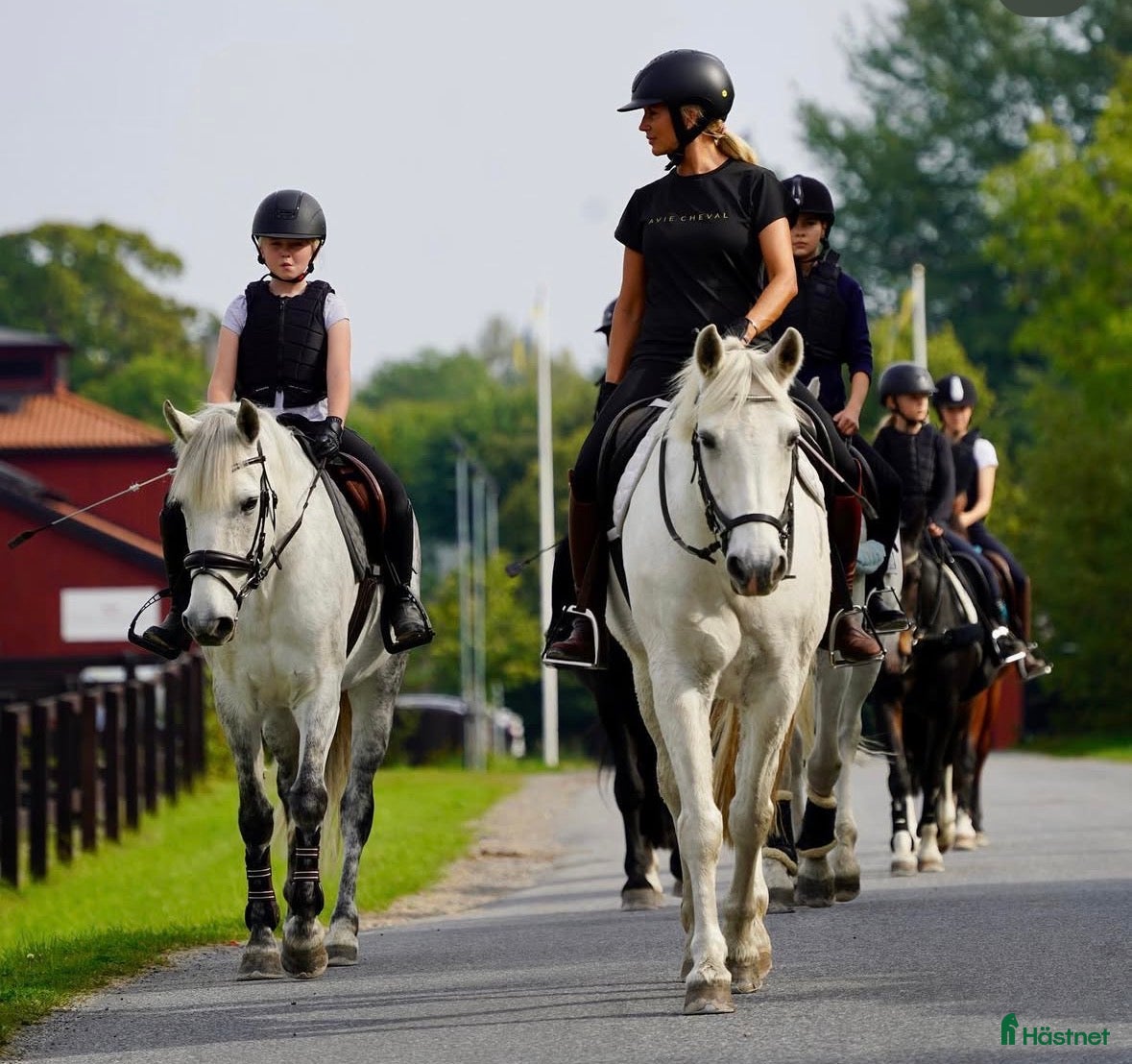  hästjobb Ridlärare på söndagar sökes i Värmdö - Annons 1