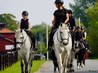 hästjobb Ridlärare på söndagar sökes i Värmdö - Annons 23