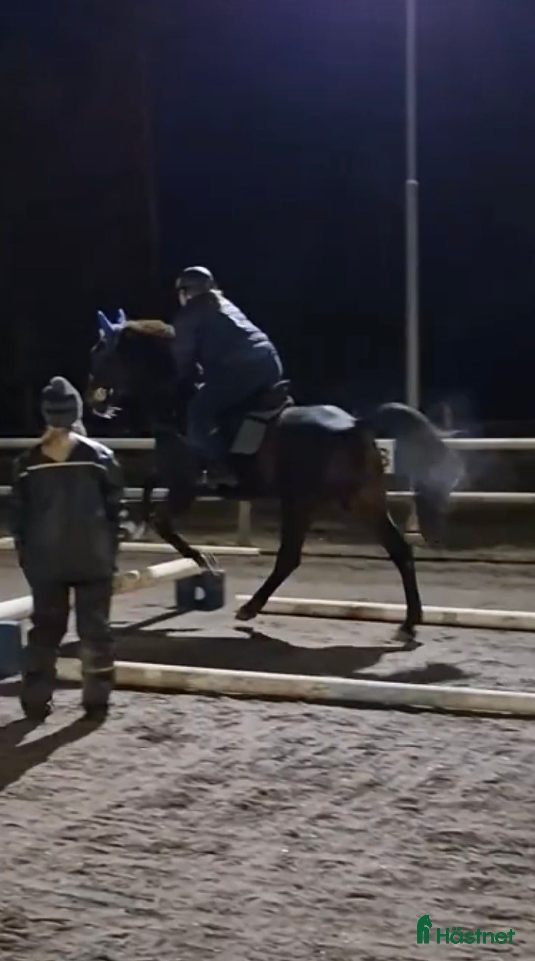  medryttarhäst sökes: Medryttarhäst Sökes runt vaggeryd i Skillingaryd - Annons 3