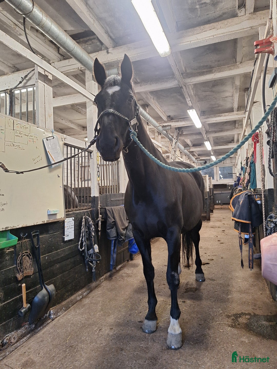  stallplats finnes: Stallplats Tungelsta, Haninge  i Tungelsta - Annons 1