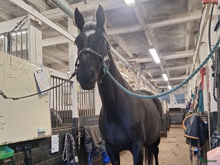 stallplats Stallplats Tungelsta, Haninge i Tungelsta - Annons 1