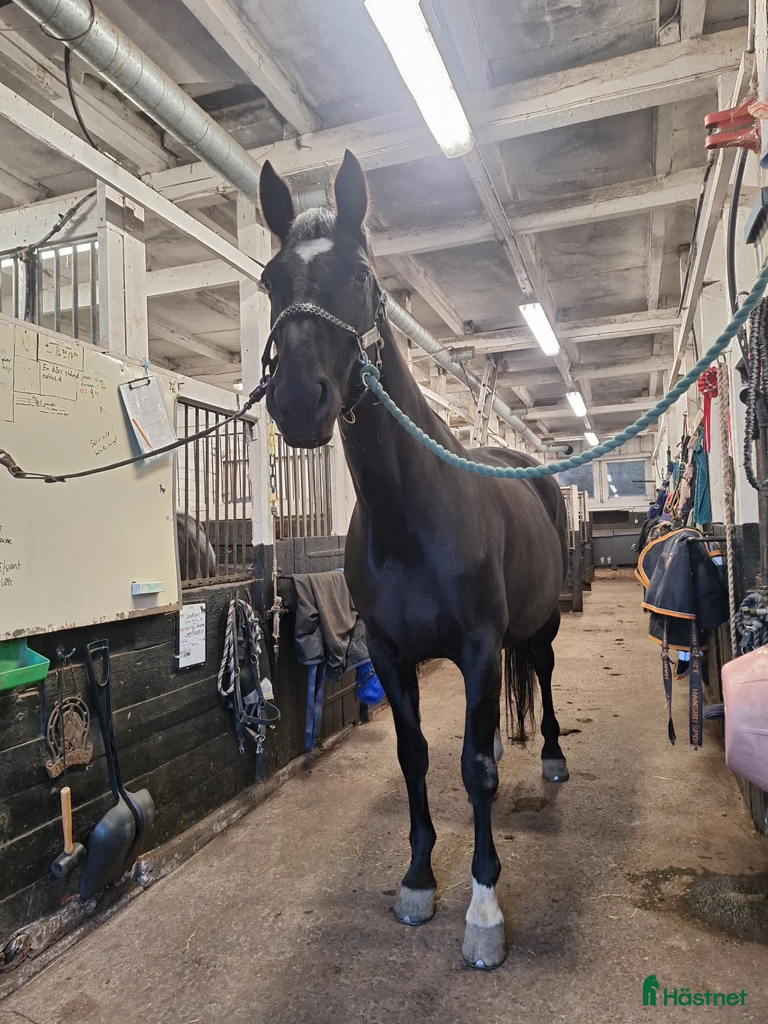  stallplats finnes: Stallplats Tungelsta, Haninge  i Tungelsta - Annons 1